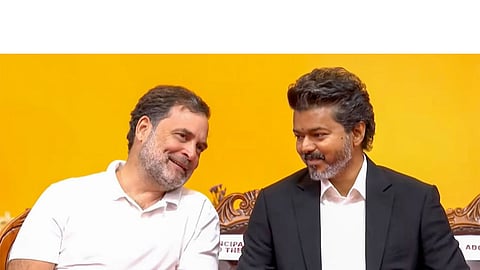 'Stand with you in defending Tamil people's rights': Rahul Gandhi extends birthday wishes to CM Vijay