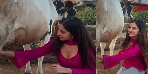 Niveditha gowda