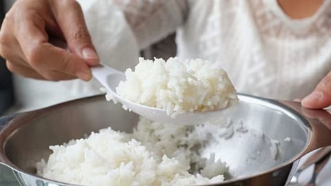 Rice