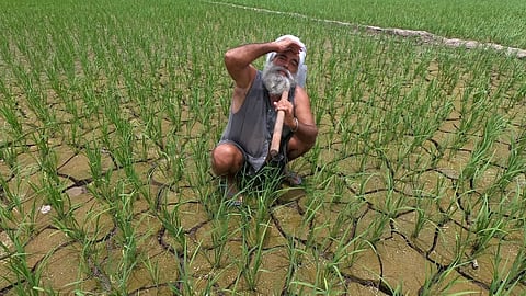 Monsoon Shortfall Persists