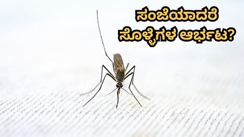 mosquitoes problems