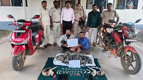 Major Forest Department Crackdown in Yellapur