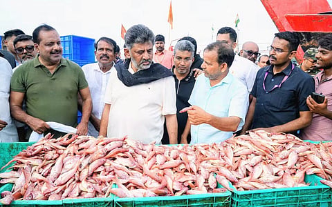 CM D K Shivakumar visited Mangaluru fish port