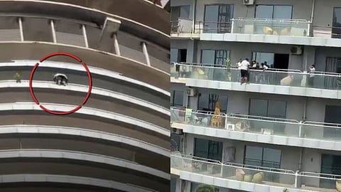 Noida: Man Jumps To Death From 43rd Floor Of Highrise Supernova