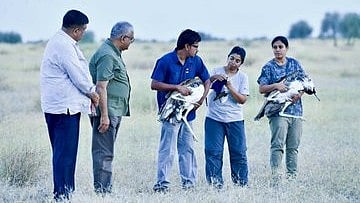 Great Indian Bustards Released in Jaisalmer