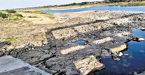 A stretch of Bhima River in Kalaburagi district, which has been drying up