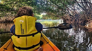 Saligrama Mangroves