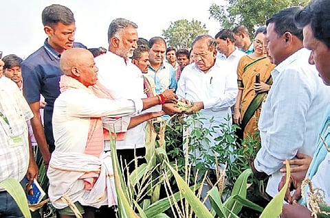 ವಿಜಯನಗರದ ಬರಪೀಡಿತ ಪ್ರದೇಶಗಳಿಗೆ ಡಿಸಿಎಂ ಭೇಟಿ