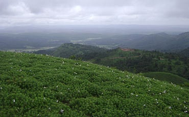 ಇದು ದೇವರ ಮನೆ ಕಾಣೋ!