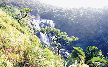 ಮಳ್ಳಿ ಮಲ್ಲಳ್ಳಿ