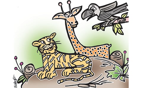 ಹುಲಿಯ ಸೋಲು