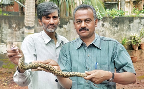 ಸ್ನೇಕ್ ಸಹವಾಸ