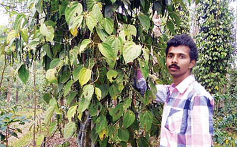 ವಿನಯವಂತ