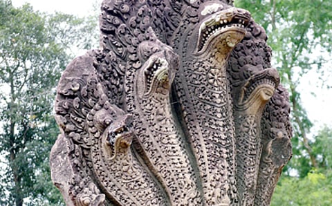 ನಾಗ ನಡೆ