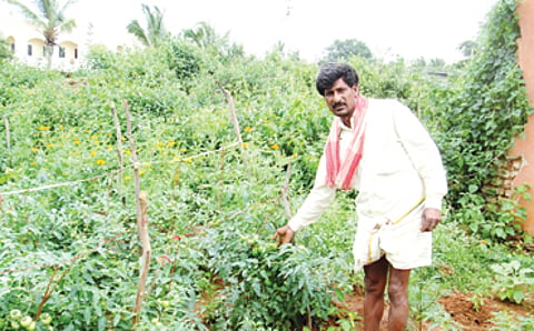 ತರಕಾರಿ ರೇವಣ್ಣ