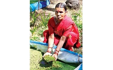 ಸ್ವಾವಲಂಬಿ ಬದುಕು; ಮಾದರಿ ಕೃಷಿ ಕುಟುಂಬ