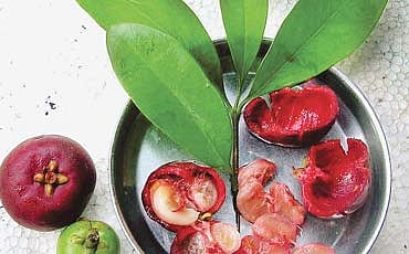 ಸವಿದವನೇ ಬಲ್ಲ ಪುನರ್ಪಳಿ ರುಚಿಯ...