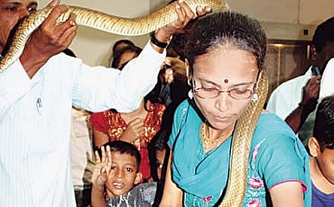 ಸರ್ಪ ಸಂಸಾರ