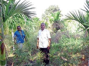 ಬಂತು ಬೇಸಿಗೆ...