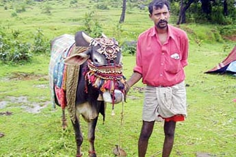 ನಮ್ಮ ಬಸವ
