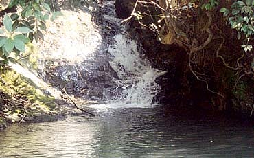 ಕಲ್ಯಾಣಮಸ್ತ್