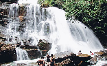 ಕಿಗ್ಗಾ ಕಿಕ್
