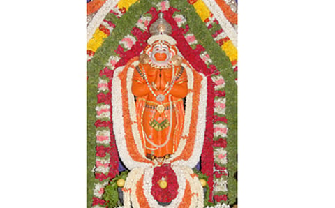 ಪೂರ್ಣ ಫಲ
