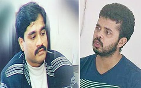 ಶ್ರೀಡಿ ಕಂಪನಿ