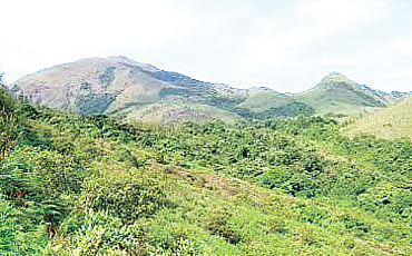 ಶಿಖರದ ತಡಿ