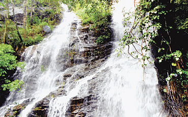 ಕತ್ತಲೆಕಾಡಿನ ನೀರೆಯರು