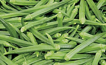 ಬೆಂಡೆಕಾಯಿ