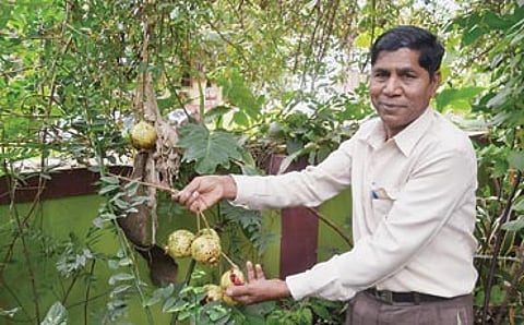 ಪಂಡಿತರ ಮನೆ