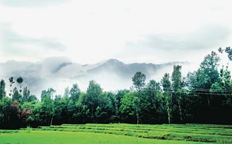 ಕಾಶ್ಮೀರದ ಕತೆ
