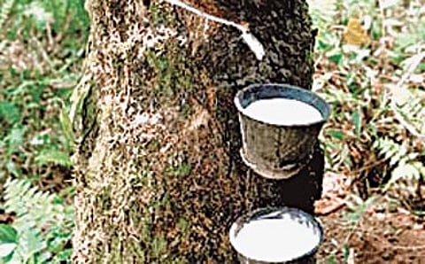 ಬರೋಬ್ಬರಿ ರಬ್ಬರ್