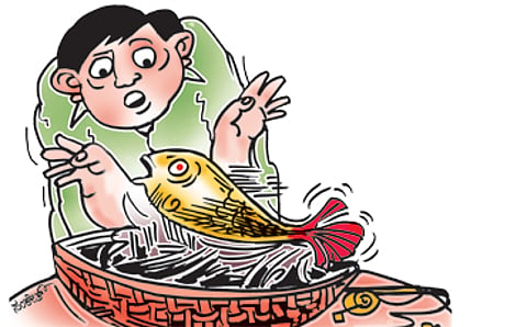 ಜ್ಞಾನೋದಯ