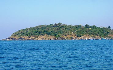 ದ್ವೀಪದ ಜೀವ