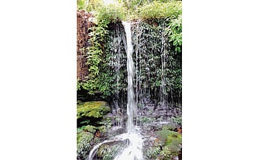 ಅಜ್ಜಿ ಗುಂಡಿ