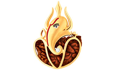 ಸರ್ವಕಾಮದ ರುದ್ರಾಕ್ಷ