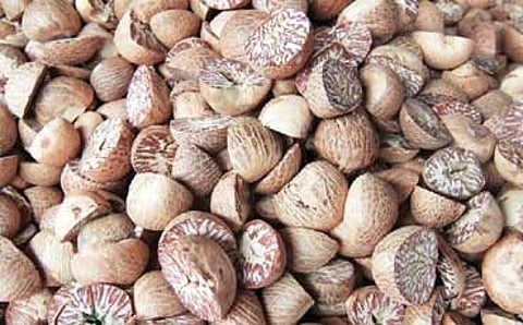 ಬಿಂಗ್ ಲಾಂಗ್