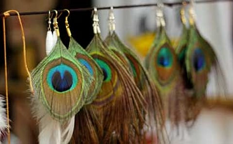 ಭಾವನೆ ಇಲ್ಲದ ಊರು