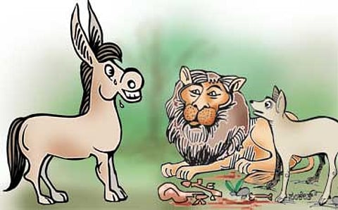 ಕತ್ತೆ ಏಕೆ ಮಾಂಸ ತಿನ್ನುವುದಿಲ್ಲ?