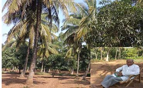 ಸಾವಯವ ಸಾಗುವಳಿ