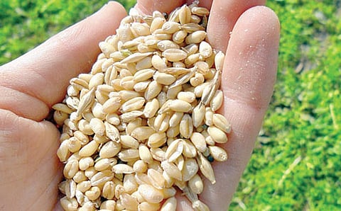 ಟಿಎಫ್ಎ: ಗೆದ್ದ ಭಾರತ