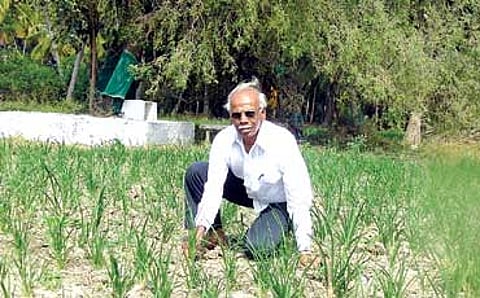 ವೃಕ್ಷ ಲಕ್ಷ
