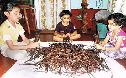 ವೆನಿಲ್ಲಾ ವೆನಿಲ್ಲಾ