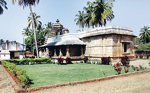 ಹಲಸಿ ಬೆಳಸಿ