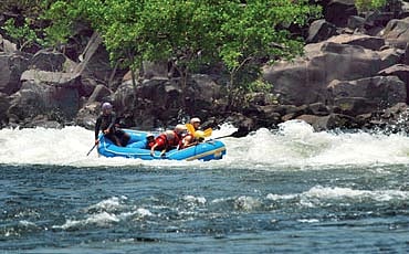 ಜಂಗಲ್ ಬುಕ್