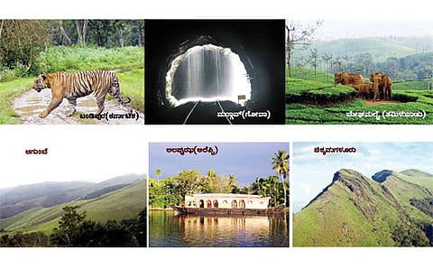 ರೈನ್ ಟ್ರೈನ್