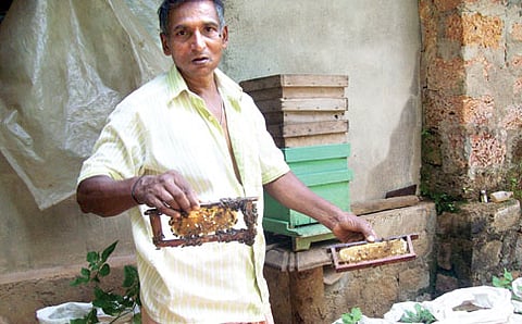 ಹನಿಯಿಂದ ಮನಿ