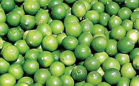 ನಿಂಬೆ